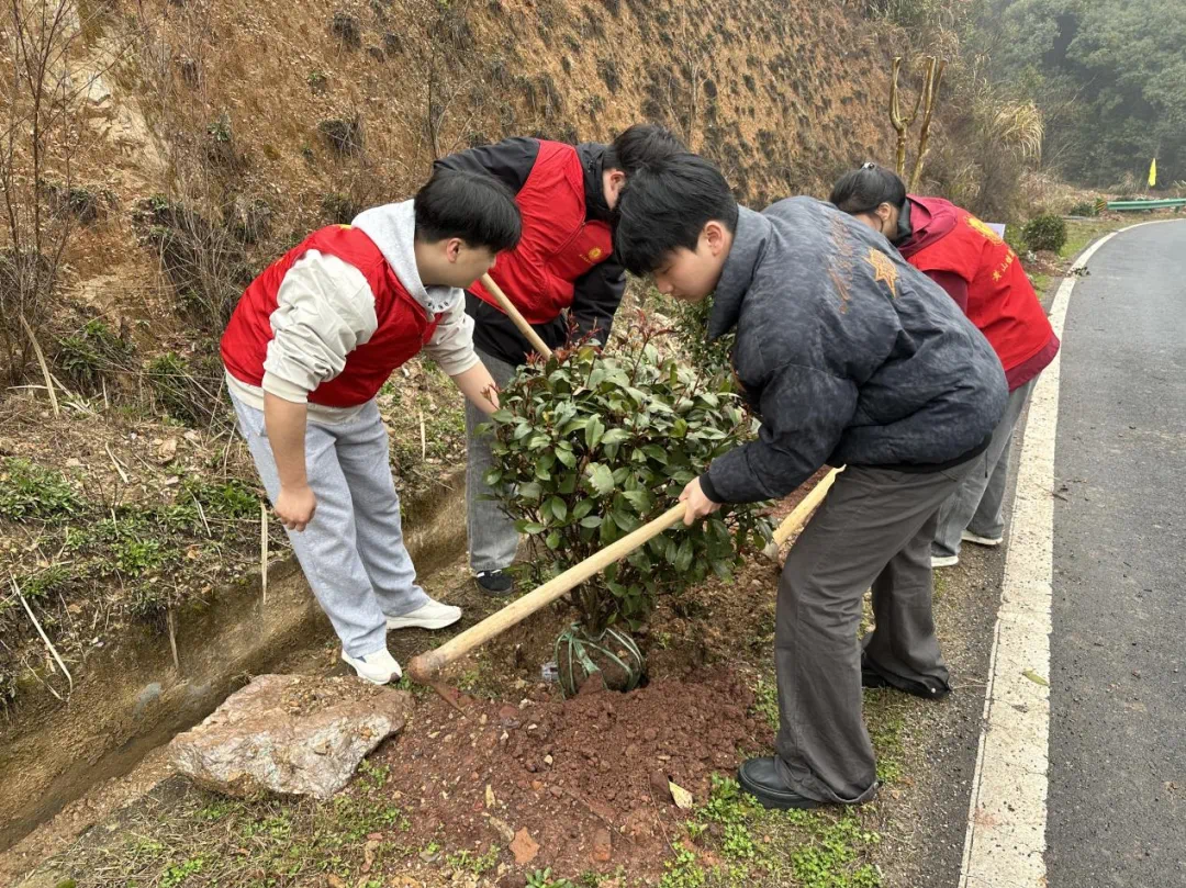 图片 37.png