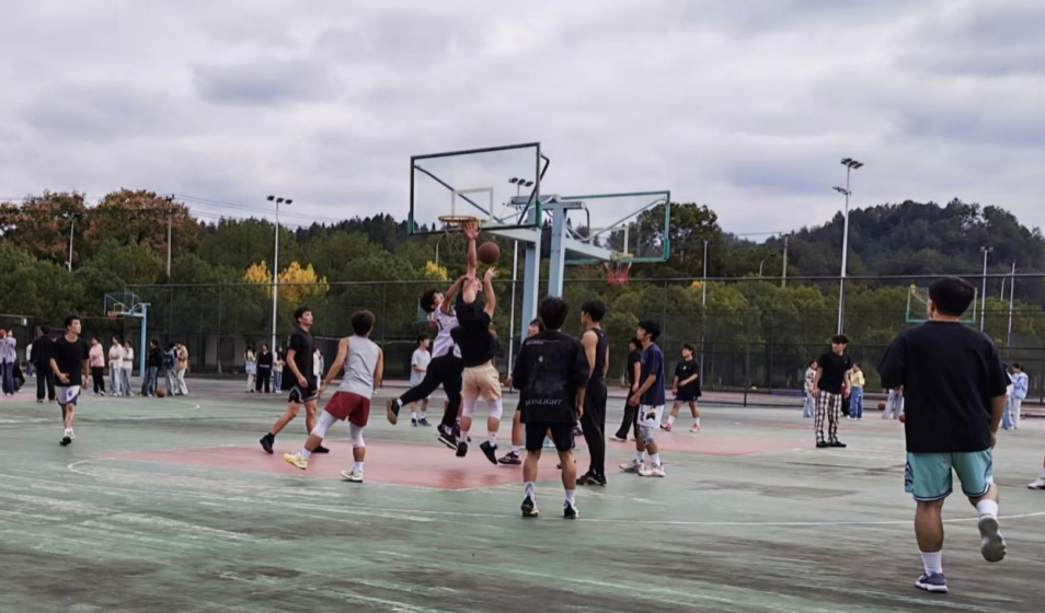 uploads/1110/1762764184215418786.png image.png